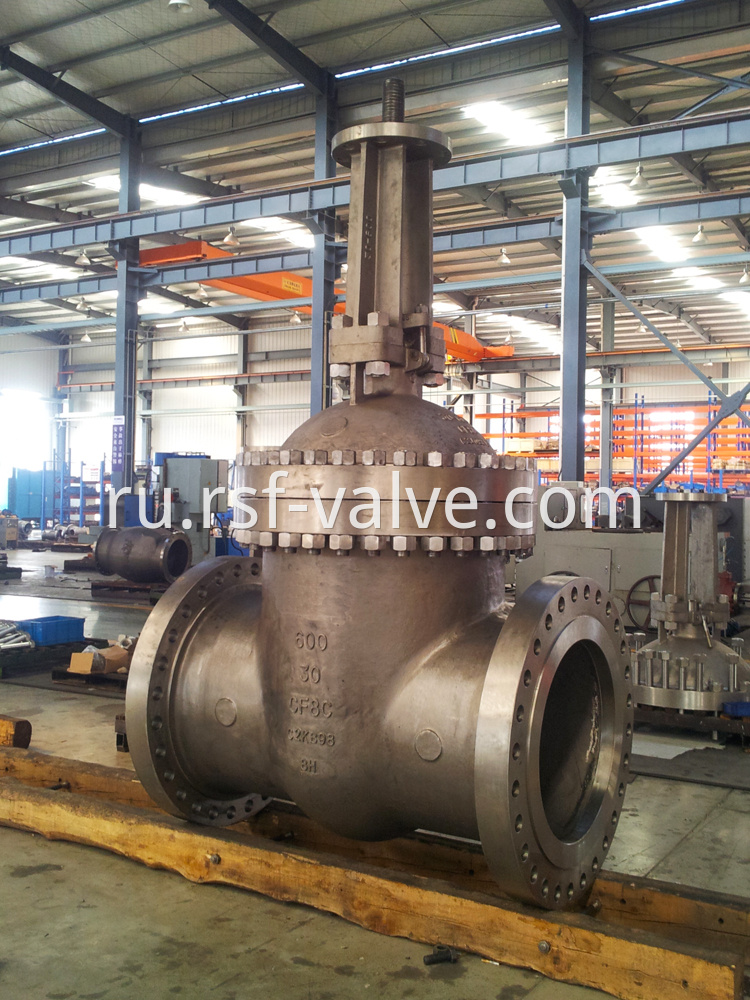 Api 600 Gate Valve Cf8c Big Size